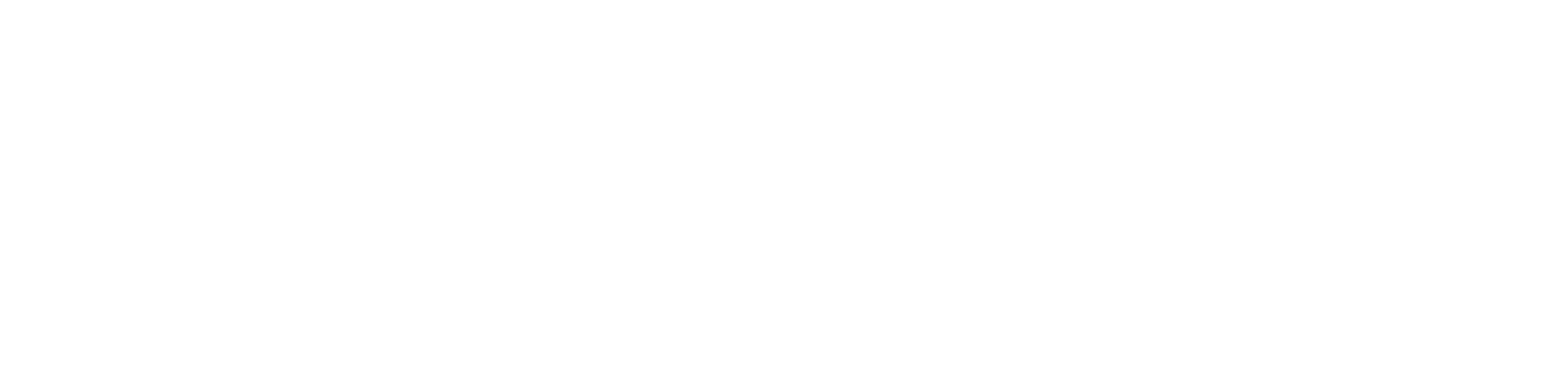 Our State Our Standard logo